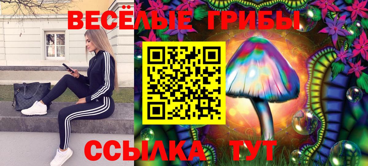 Галлюциногенные грибы GOLDEN TEACHER  Галлюциногенные грибы мухоморы  Вход с VPN  Амурск 